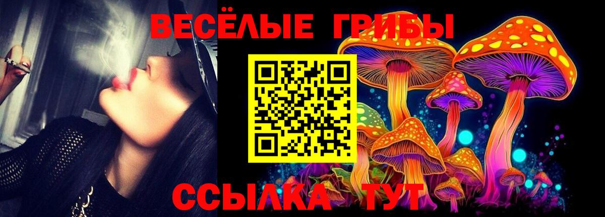 Каменск-Уральский  Псилоцибиновые грибы мицелий  сколько стоит  Вход с VPN 