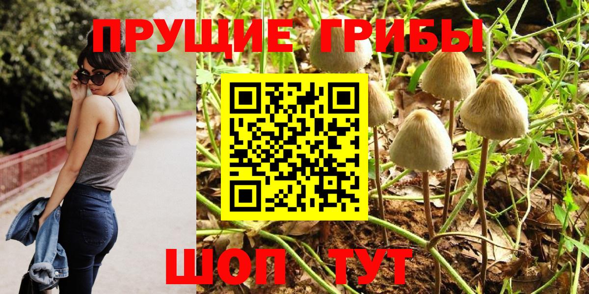 Псилоцибиновые грибы прущие грибы Каменск-Уральский